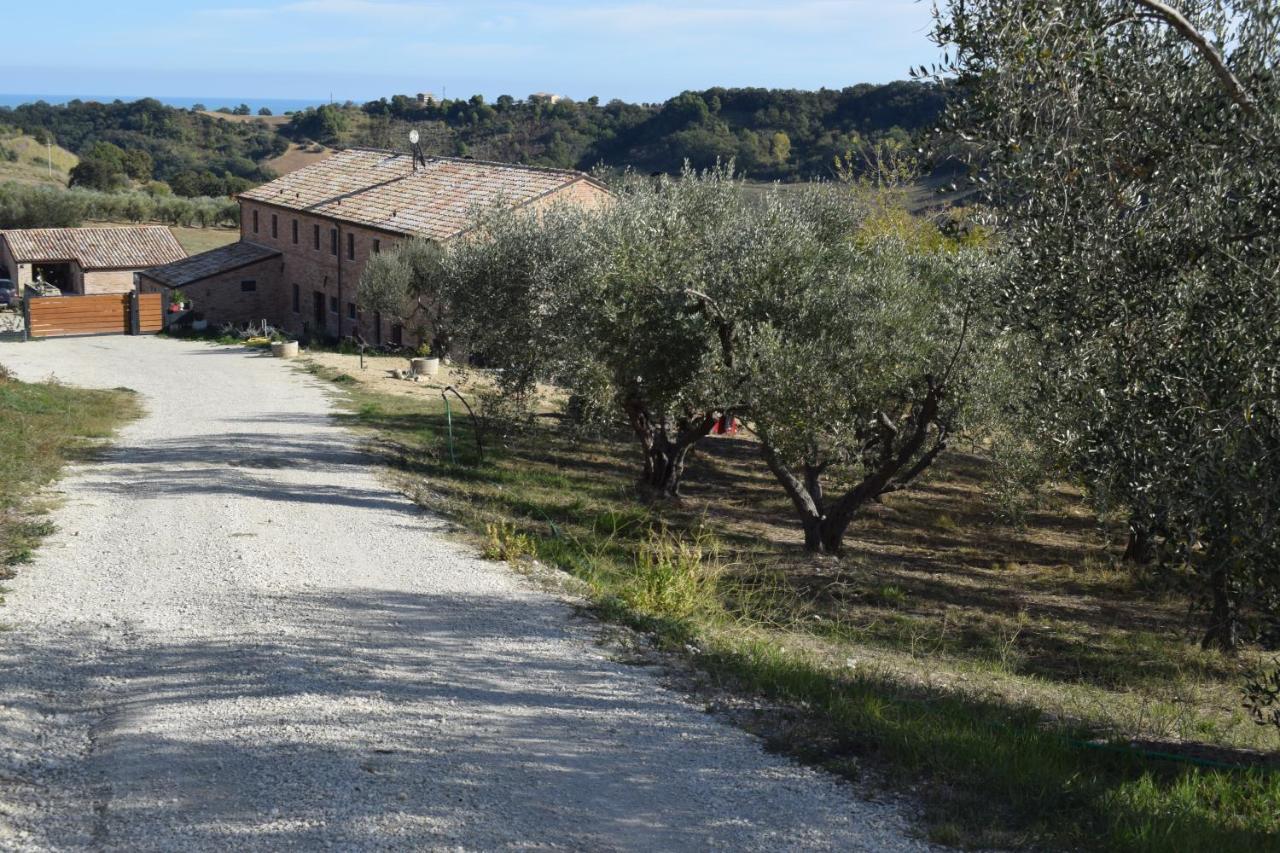Monna Terra B&B Fermo Exteriér fotografie